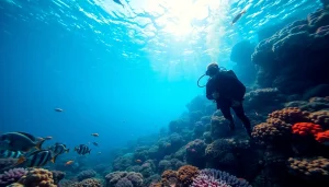 Discover the beauty of marine life during a Bali diving course with vibrant coral reefs and a diver.